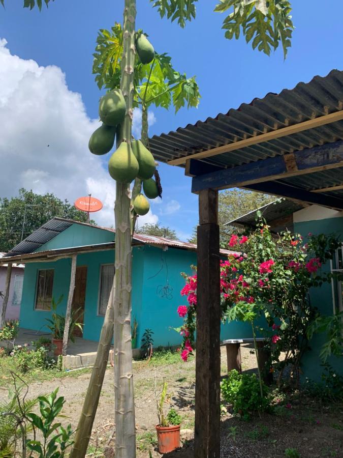 Puerto JiménezAlba House别墅 外观 照片